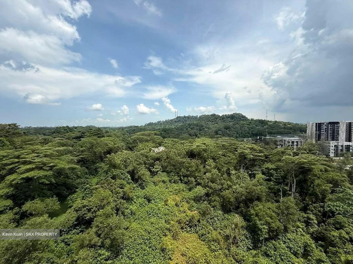 Foresque Residences (D23), Condominium #553492081